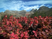 15 rosso d'autunno con Aga, Rondenino, Divoli e Grabiasca